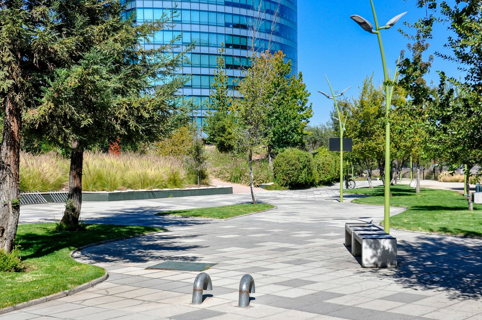 Commercial campus with mature trees and trimmed lawns