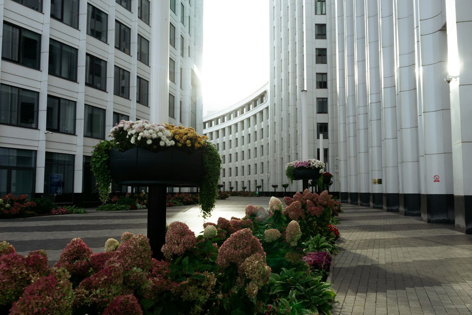 Office courtyard with planters