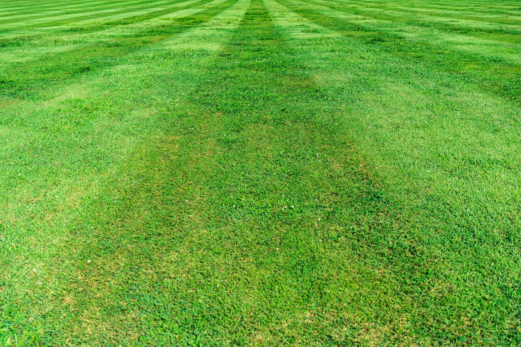 Freshly mowed striped lawn